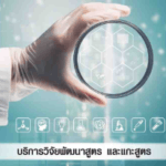 โรงงานผลิตอาหารเสริม